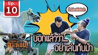 ฟาร์มม้า ฟาร์มหมอลี่ - เพื่อนรักสัตว์เอ๊ย l EP.10