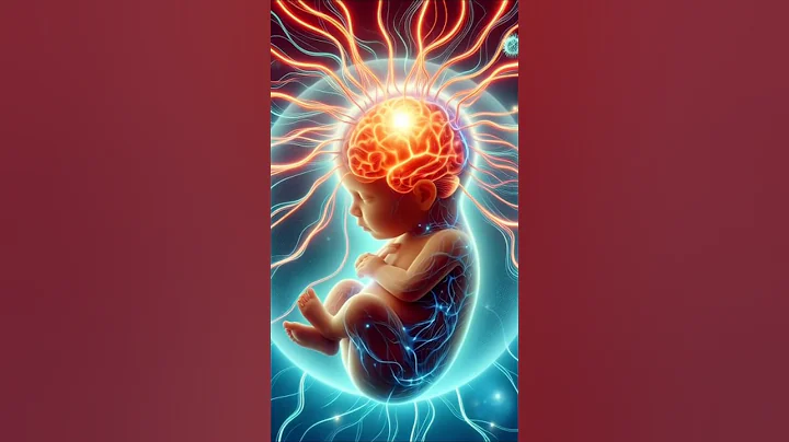 Inside the Womb ❤️ Cross-Sectional View of Uterus and Fetus।Gut Health।Baby movement 😱