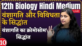 12th Biology L-10, वंशागति का क्रोमोसोम सिद्धांत Ch - 4 वंशागति तथा विविधता के सिद्धांत hindi medium