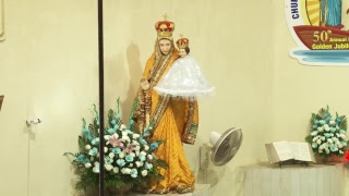 Velankanni church irla live : 7:15am english mass and novena- 5th sept