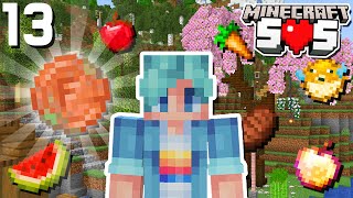 The Quest for Coins! - Minecraft S0S - Ep.13