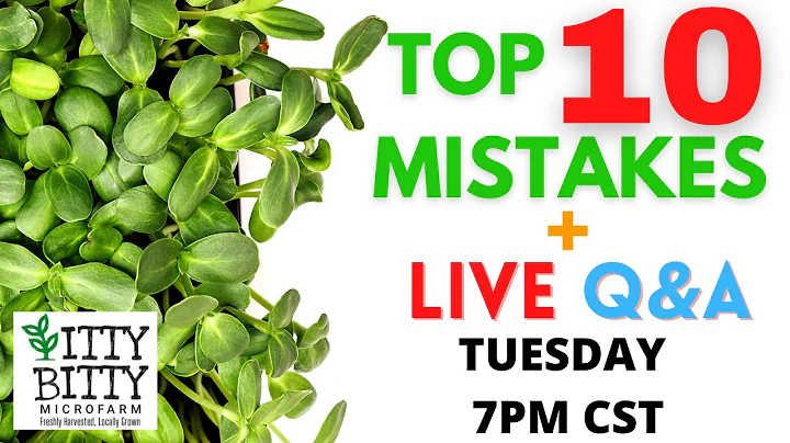 Top 10 Mistakes Microgreens Growers Make Starting Out