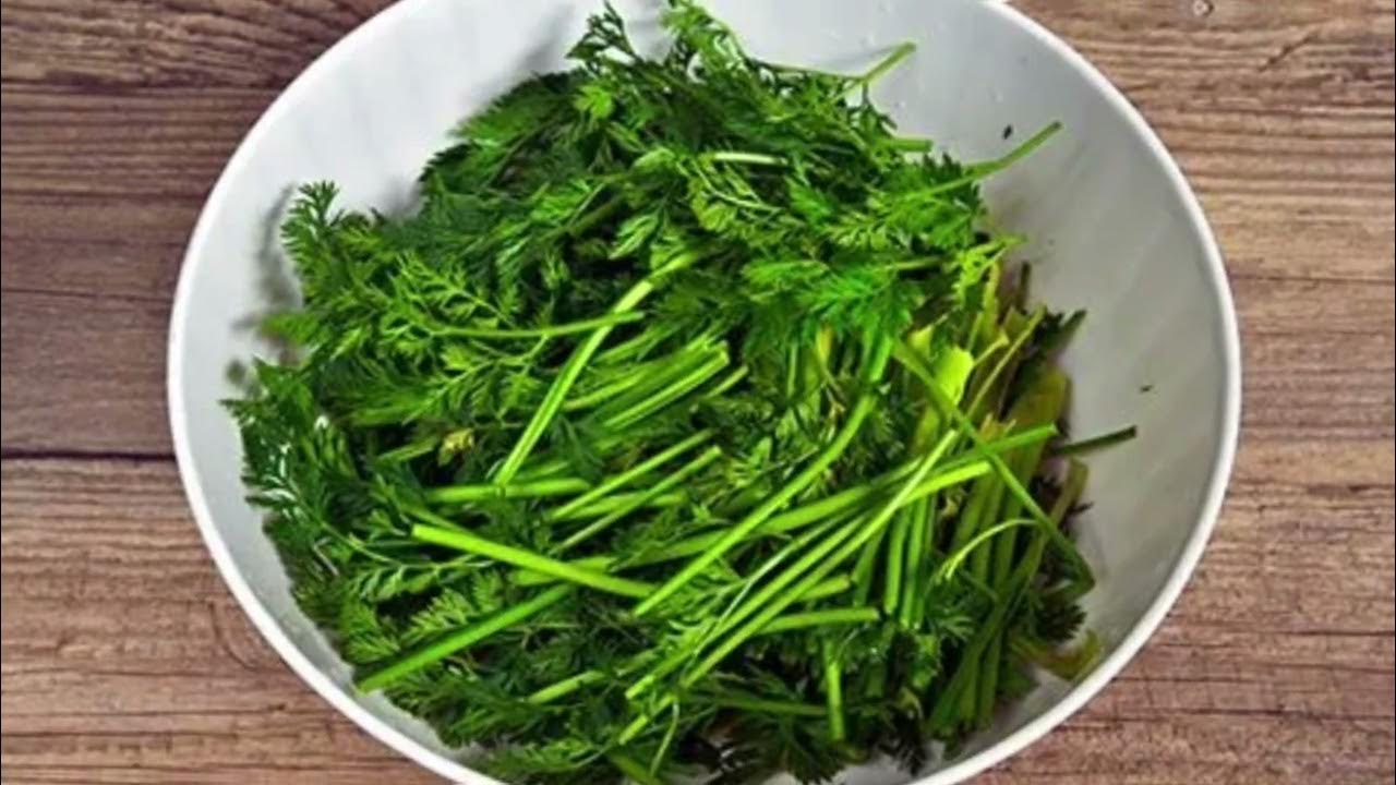 Чай из морковной ботвы. Морковь с ботвой. Морковный чай польза и вред как приготовить из ботвы. Морковь сушёная. Тряпочную ботву.