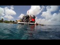 Bonaire Diving 2017 With Paralenz Camera No Music