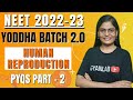 NEET 2022 | Human Reproduction- Level 2 | PYQs | 300+/360 | Gyanlab NCERT | Anjali Patel |