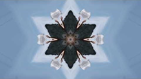 VOLO - Deep Dive [Official Music VIdeo]