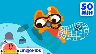 ACTION SONGS FOR KIDS | Nursery Rhymes | Lingokids