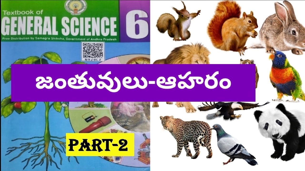 Janthuvulu-Aharam, Animals and Their Food, 6th Class 3rd Lesson in Telugu  medium//Part-2// - YouTube