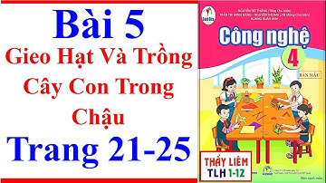 Công Nghệ Lớp 4 Bài 5 | Gieo Hạt Và Trồng Cây Con Trong Chậu | Trang 21 – 25 | Cánh Diều