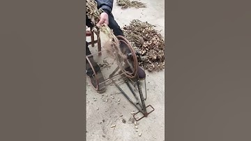 creative tool for threshing peanuts #shorts