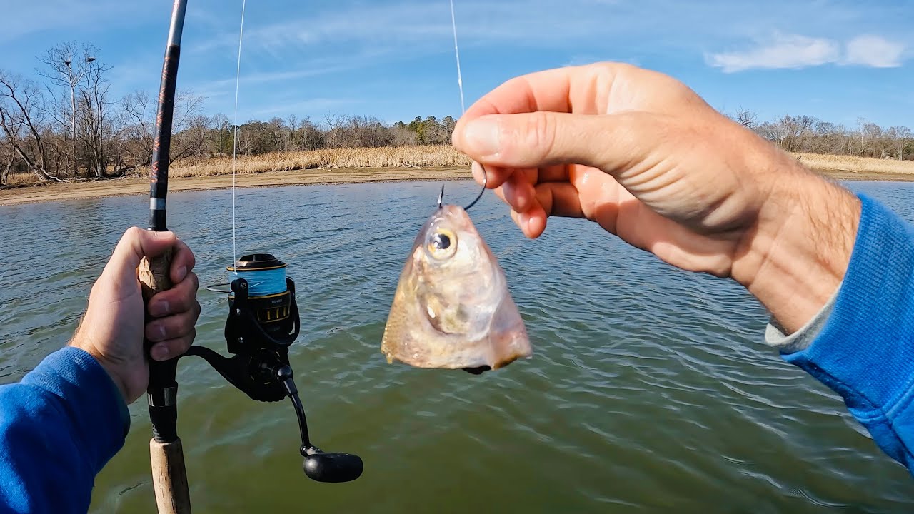 Simple and Easy Technique for Catching Winter Catfish