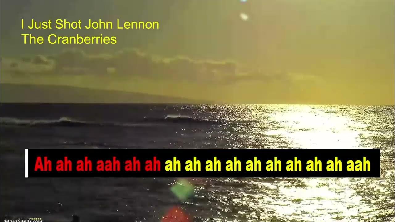 I Just Shot John Lennon THE CRANBERRIES karaoke version YouTube