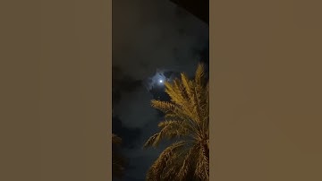 تلاوة عطره للقارئ محمد هشام /سورة يس آية ٧٦/   ﴿فَلا يَحزُنكَ قَولُهُم إِنّا نَعلَمُ ما يُسِرّونَ ﴾