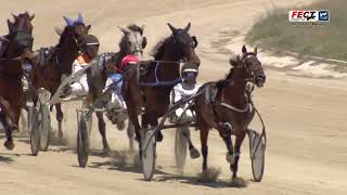 Vidéo de la course PMU PREMI OMAR DE FONT