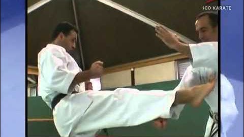 2  Heian Nidan Kata  Kumite Bunkai Didier Lupo