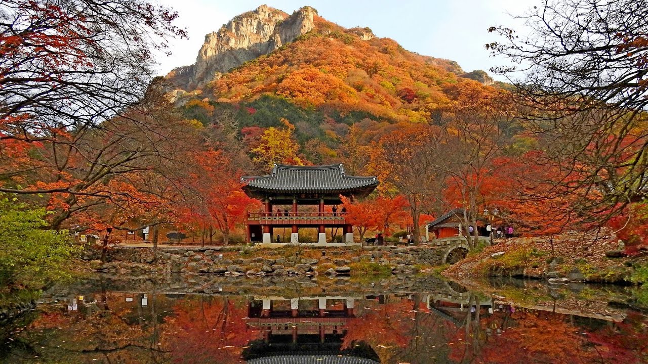 장성 백양사 단풍 Fall Leaves in Baekyang Temple - YouTube