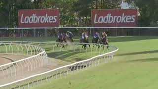 Race 9 TATTERSALL'S EVENTS BENCHMARK 85 HANDICAP 1615M Doomben Friday, November 24, 2023 Soft screenshot 5