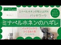 [minä perhonen]のハギレでつくる | ちくちく時間 | 続・ミナからきた箱 | 大きい方のハギレセット | 実はハギレセットには２種類あるんです[パンとおかしと布くらし][シガツノニワ]