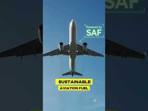 Don't Start an Import Business Without Knowing This #biofuel #business #tips