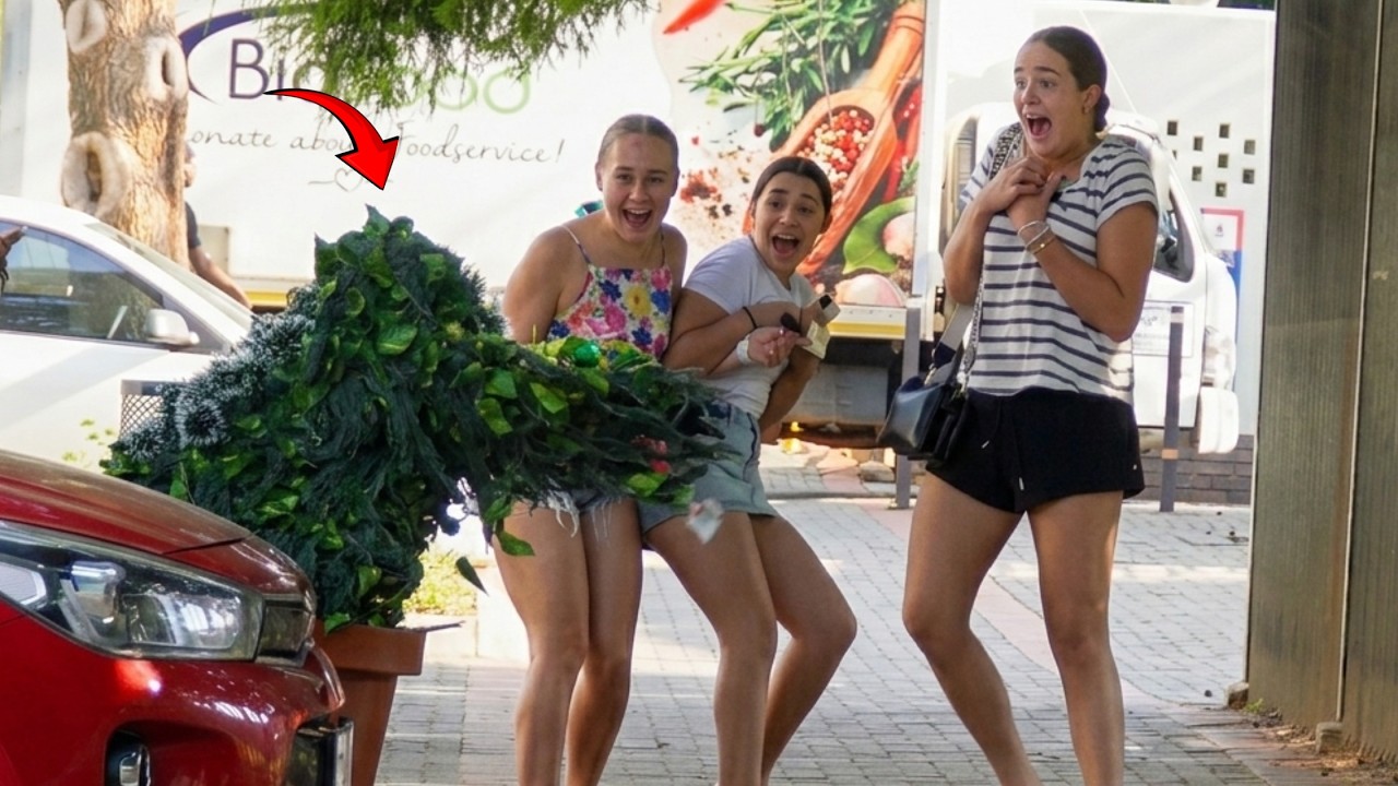 Новые эпические реакции на розыгрыши бушменов