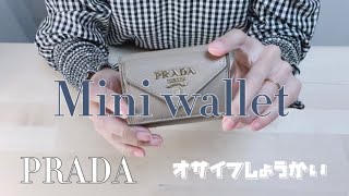 【ミニウォレット】お財布紹介 ○○万円まで入る？【PRADA】