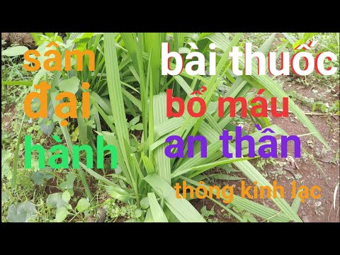 Video Bài thuốc dân gian trị an thần bổ máu thông kinh lạc -... - youtube