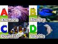 ABC phonics animals | ABC Sea Animals song | English and Animals for Kids | Alphabet Kid Song | Baby