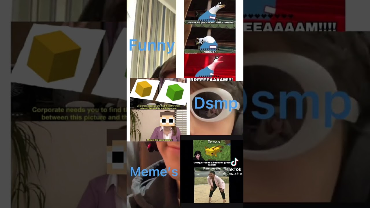 Dream smp memes