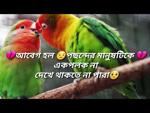 ভিডিও: আবেগ থেকে ভালবাসা: সম্পর্কের 7 টি স্তর