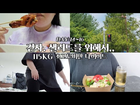 드디어 영상에 샐러드가 나옵니다ㅣ115KG 초고도비만 다이어트 #4ㅣday 14~16ㅣvlogㅣ104