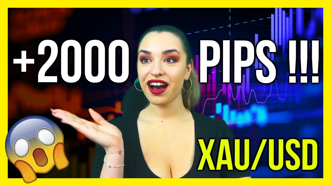 GOLD Forex Trading Strategies that WORK! +2000 PIPS !!!💰 💲 - YouTube