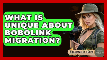 What Is Unique About Bobolink Migration? - Bird Watching Diaries