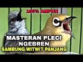 MASTERAN PLECI NGEBREN SAMBUNG WITWIT ZIPPER PANJANG ..