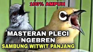 MASTERAN PLECI NGEBREN SAMBUNG WITWIT ZIPPER PANJANG ..