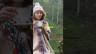 Start Your Day With Tea