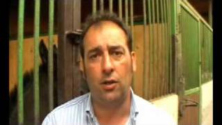 Aiase - Laura Nel Cavallo 13