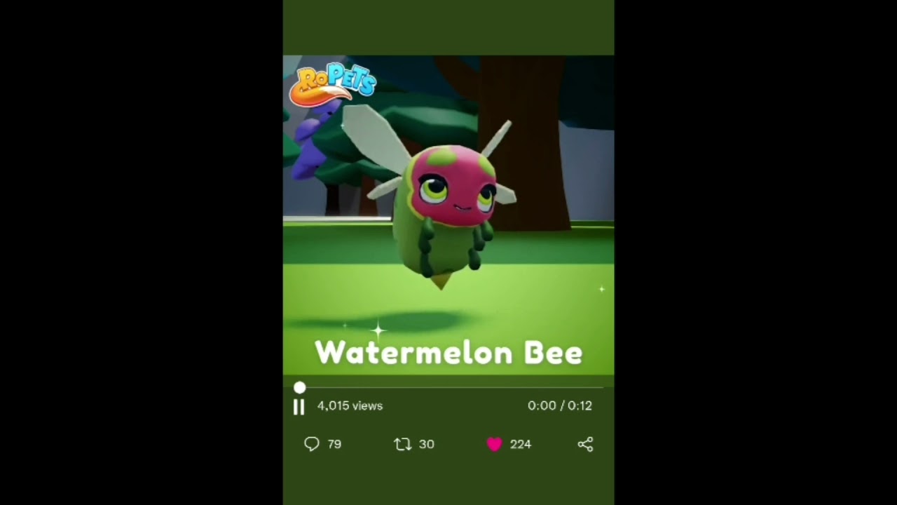 New update coming in ropets game