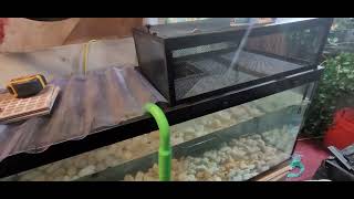 Thrive Elevated Basking Loft #thrive #petsmart