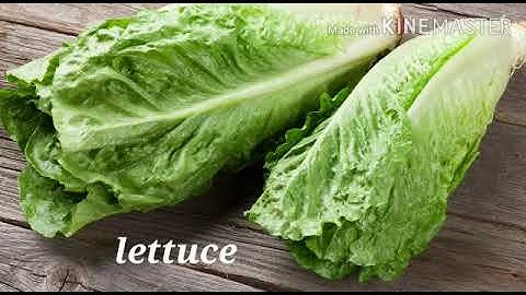 Class 3 Ch 9 FOOD FROM PLANTS AND ANIMALS  Food from Plantsby Aarushi Jain