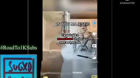 Every 1 Second of DonaldDucc Screams and Disappears Videos in 20 Seconds