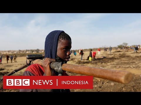 Video: Semua Mengenai Lombong Berlian Kimberley di Afrika Selatan