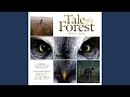 The Tale Of A Forest The Tale Of A Forest