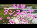 予告編 映画ダンスペア