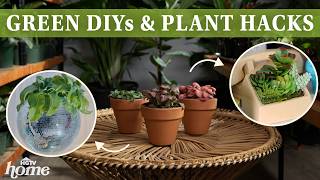Beginner-Friendly Upgrades to Elevate Your Space into a Plant Paradise | HGTV Home
