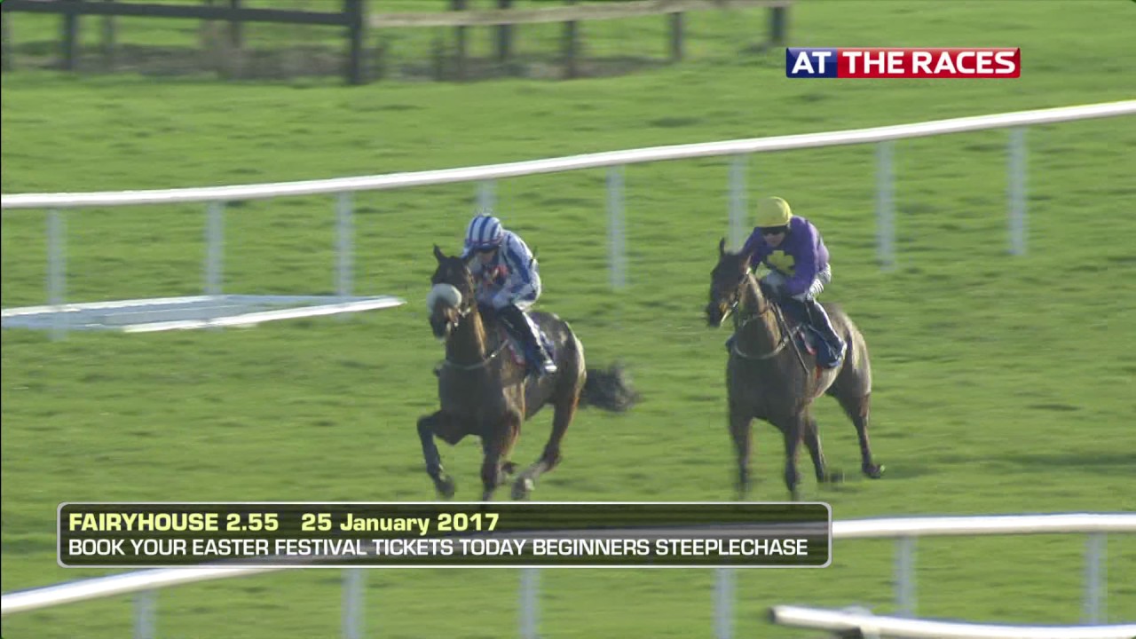 live fairyhouse racing