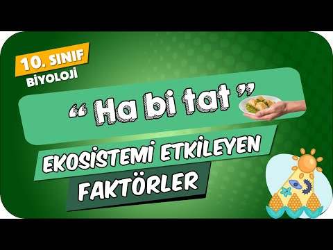 Ekosistemi Etkileyen Faktörler | 10.Sınıf Biyoloji #2024