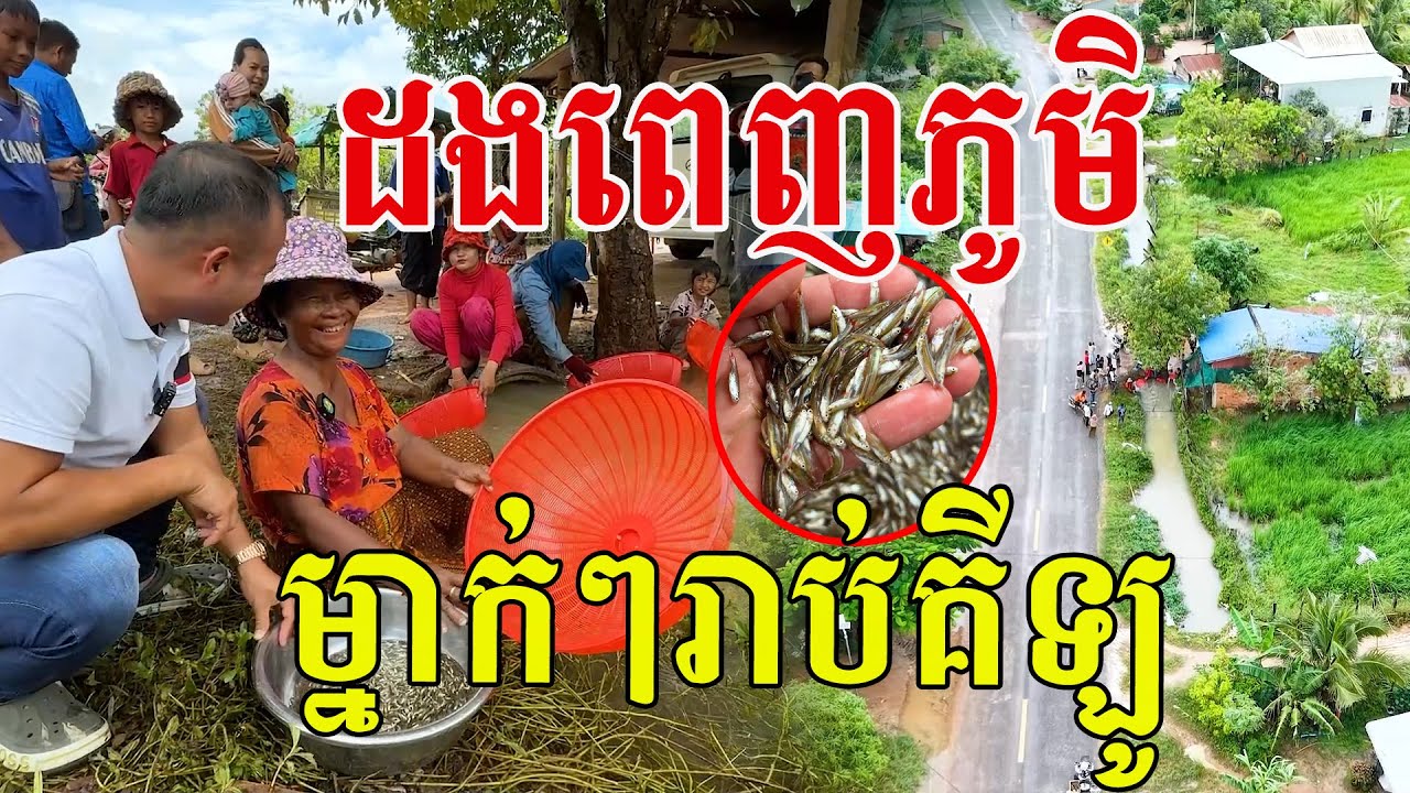 ដងពេញភូមិ​ ម្នាក់ៗរាប់គីឡូ​ សប្បាយណាស់ដល់ខែនេះម្ដងៗ