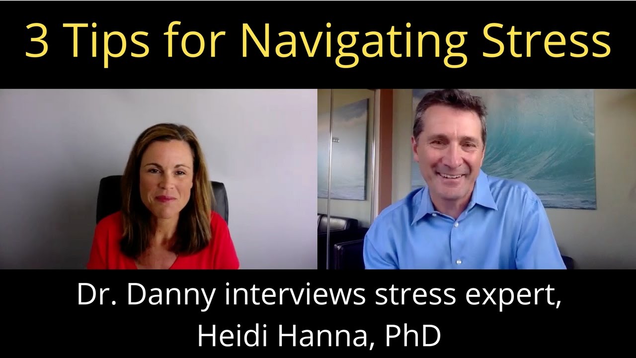 Global Stress Summit-Daniel Friedland MD interviews Dr. Heidi Hanna
