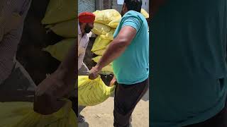 #urea #fertilizer #urvarak #nitrogenfertilizer #punjab #subsidy #imported #nfl #ipl #hurl #iffco