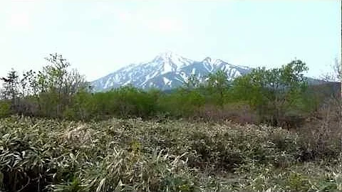 Listening to the birds singing in Rishiri Island